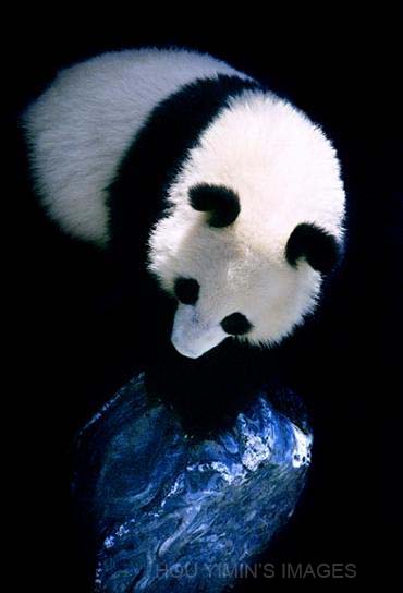 Hou Yimin'S Images